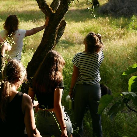 Casa Do Meio Em Quinta De Sao Pedro De Vir-A-Corca Monsanto Esterno foto