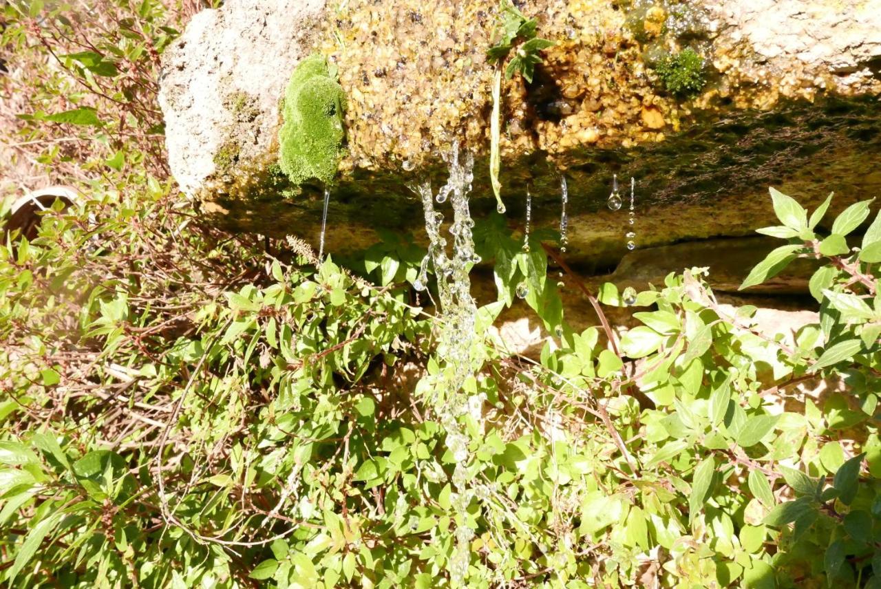 Casa Do Meio Em Quinta De Sao Pedro De Vir-A-Corca Monsanto Esterno foto