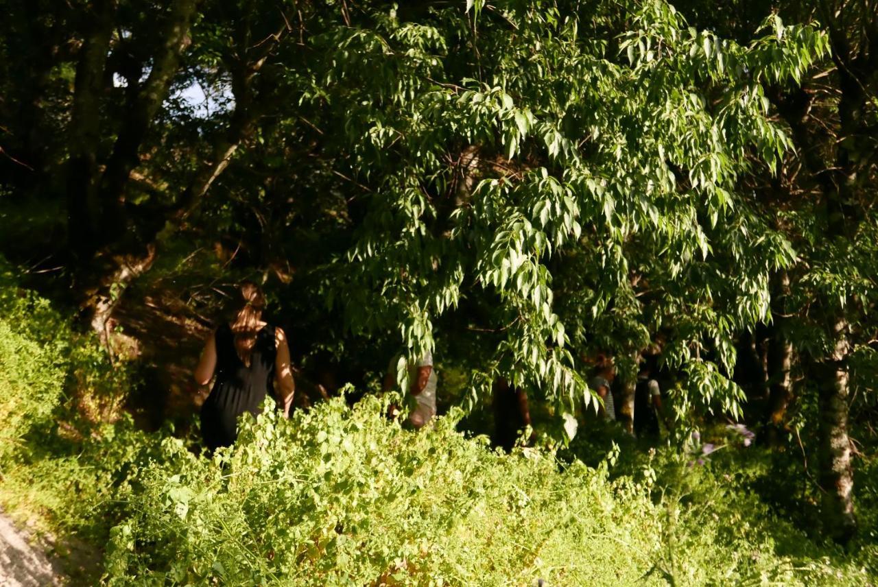 Casa Do Meio Em Quinta De Sao Pedro De Vir-A-Corca Monsanto Esterno foto