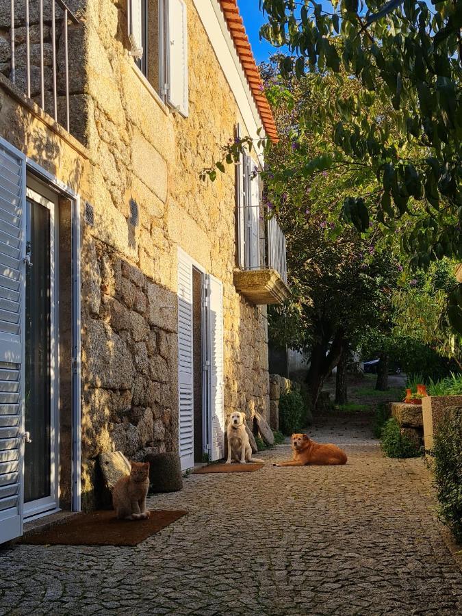 Casa Do Meio Em Quinta De Sao Pedro De Vir-A-Corca Monsanto Esterno foto
