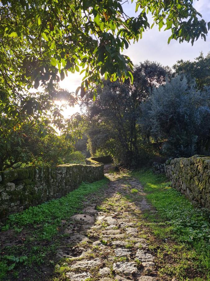 Casa Do Meio Em Quinta De Sao Pedro De Vir-A-Corca Monsanto Esterno foto